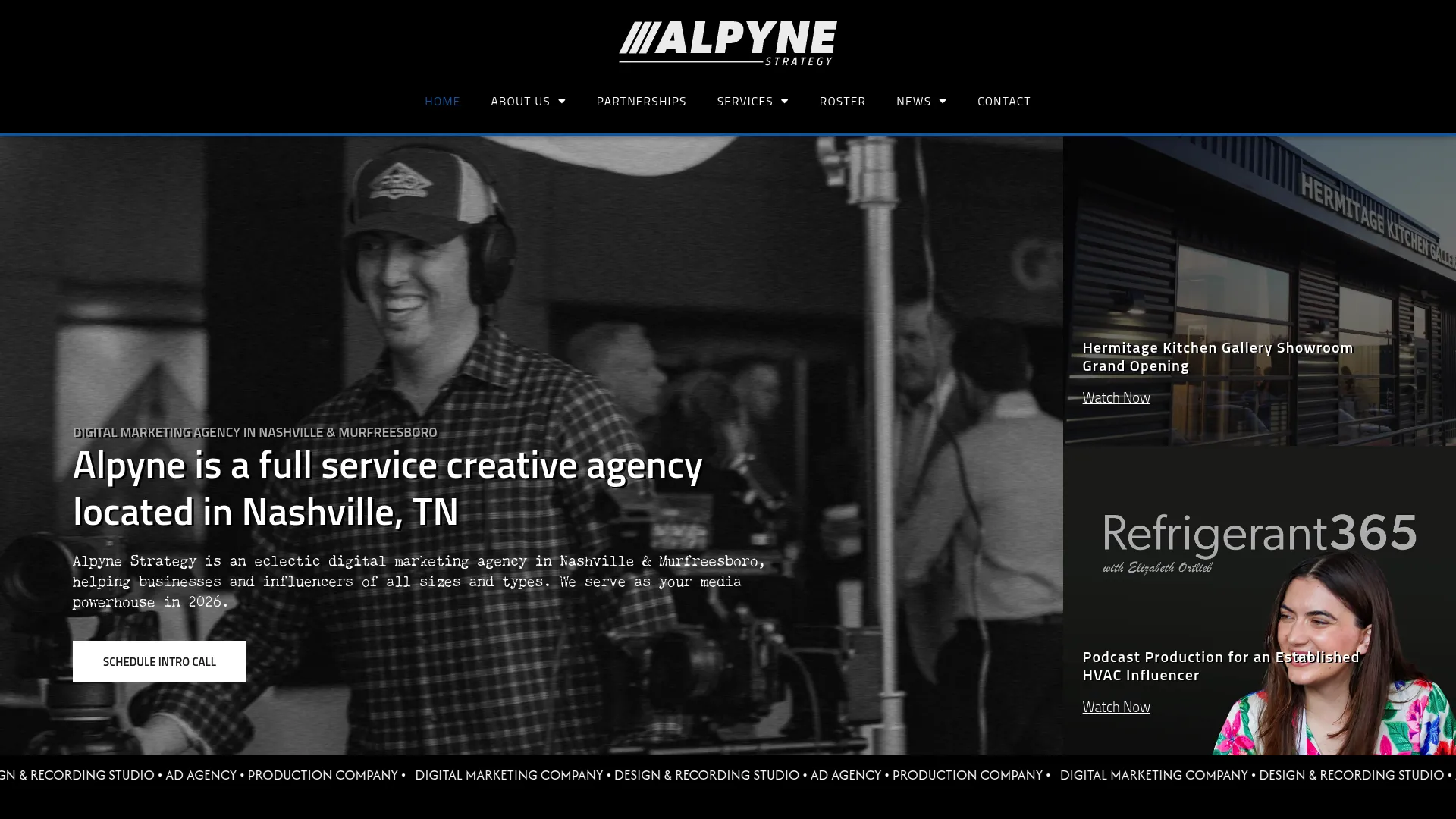 screenshot of alpynestrategy.com