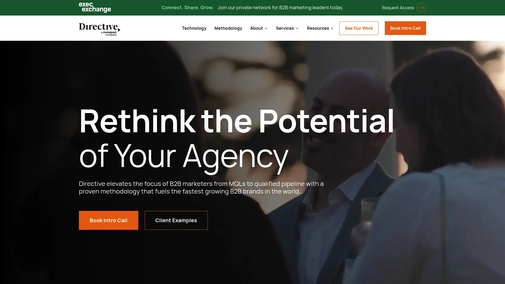 Screenshot of directiveconsulting.com