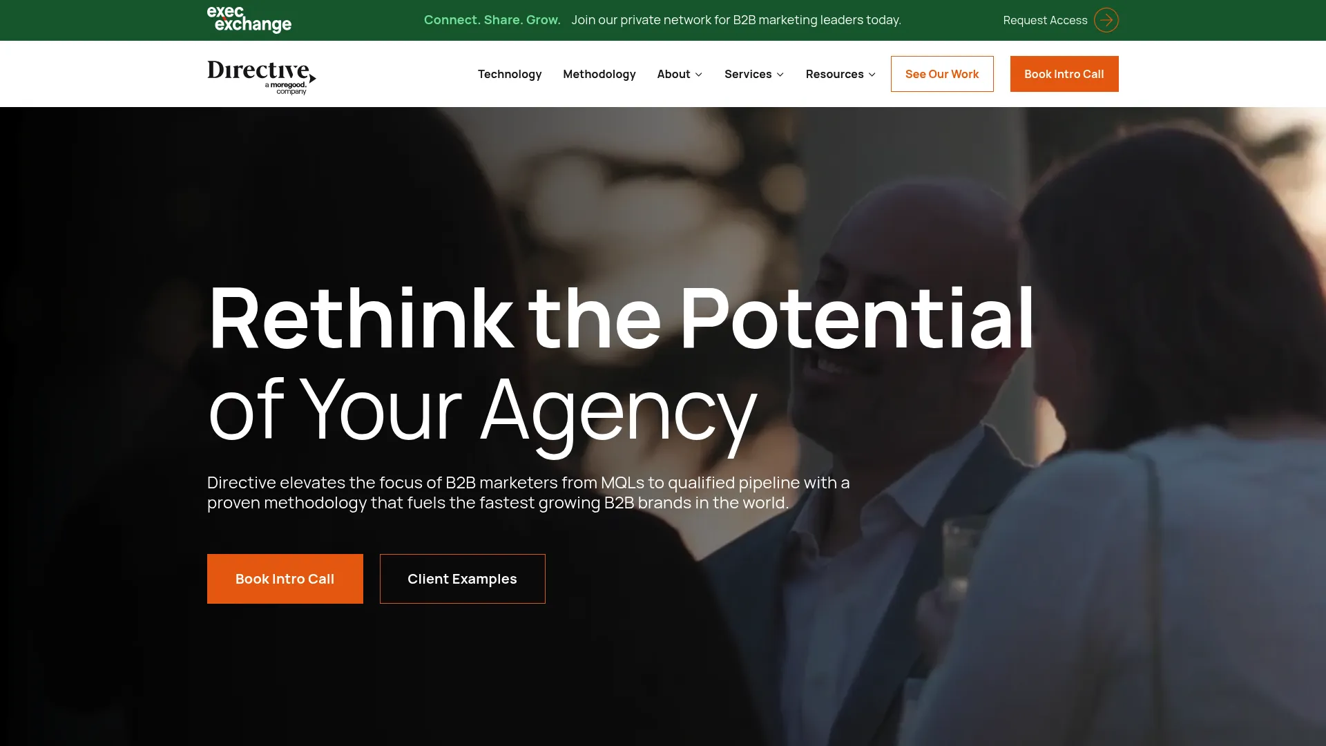 screenshot of directiveconsulting.com