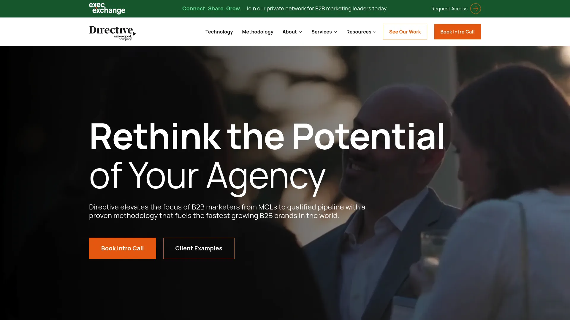 Screenshot of Directive Consulting homepage