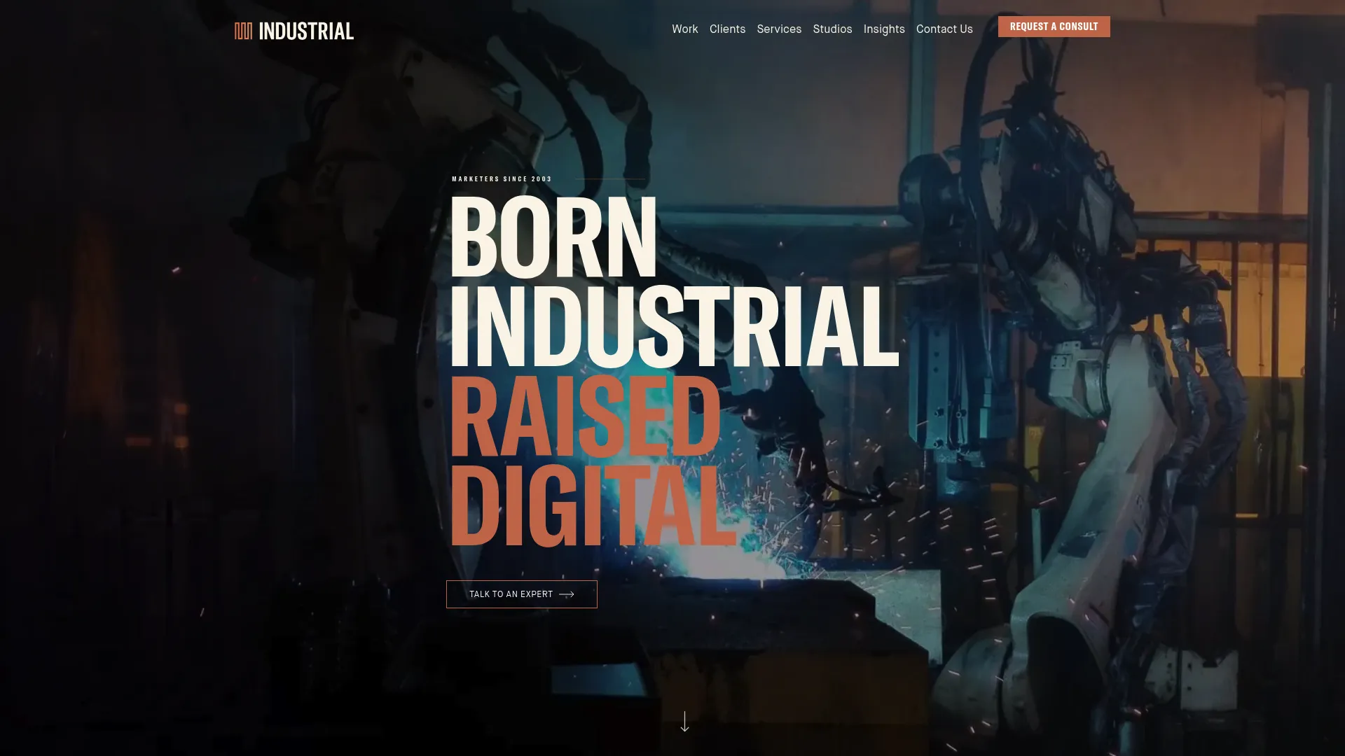 Screenshot of industrialstrengthmarketing.com