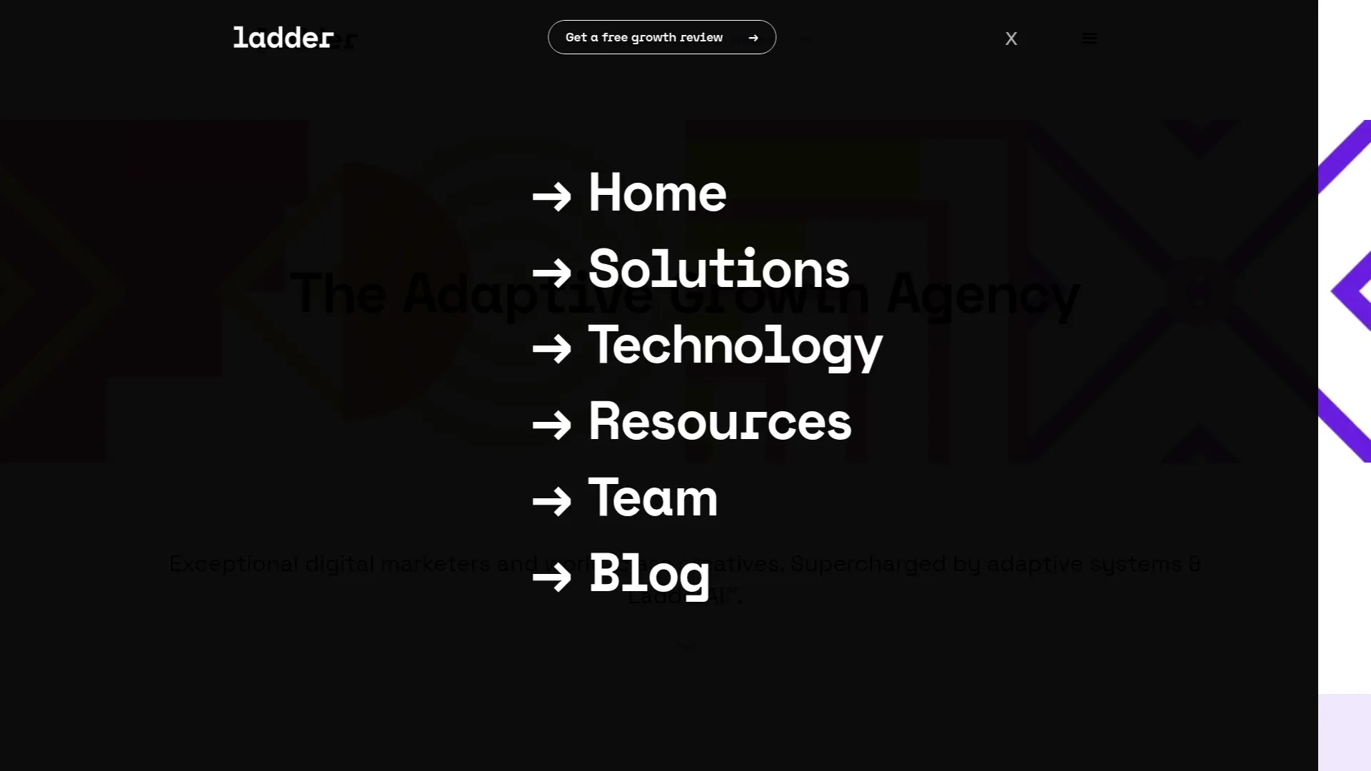 Screenshot of Ladder website