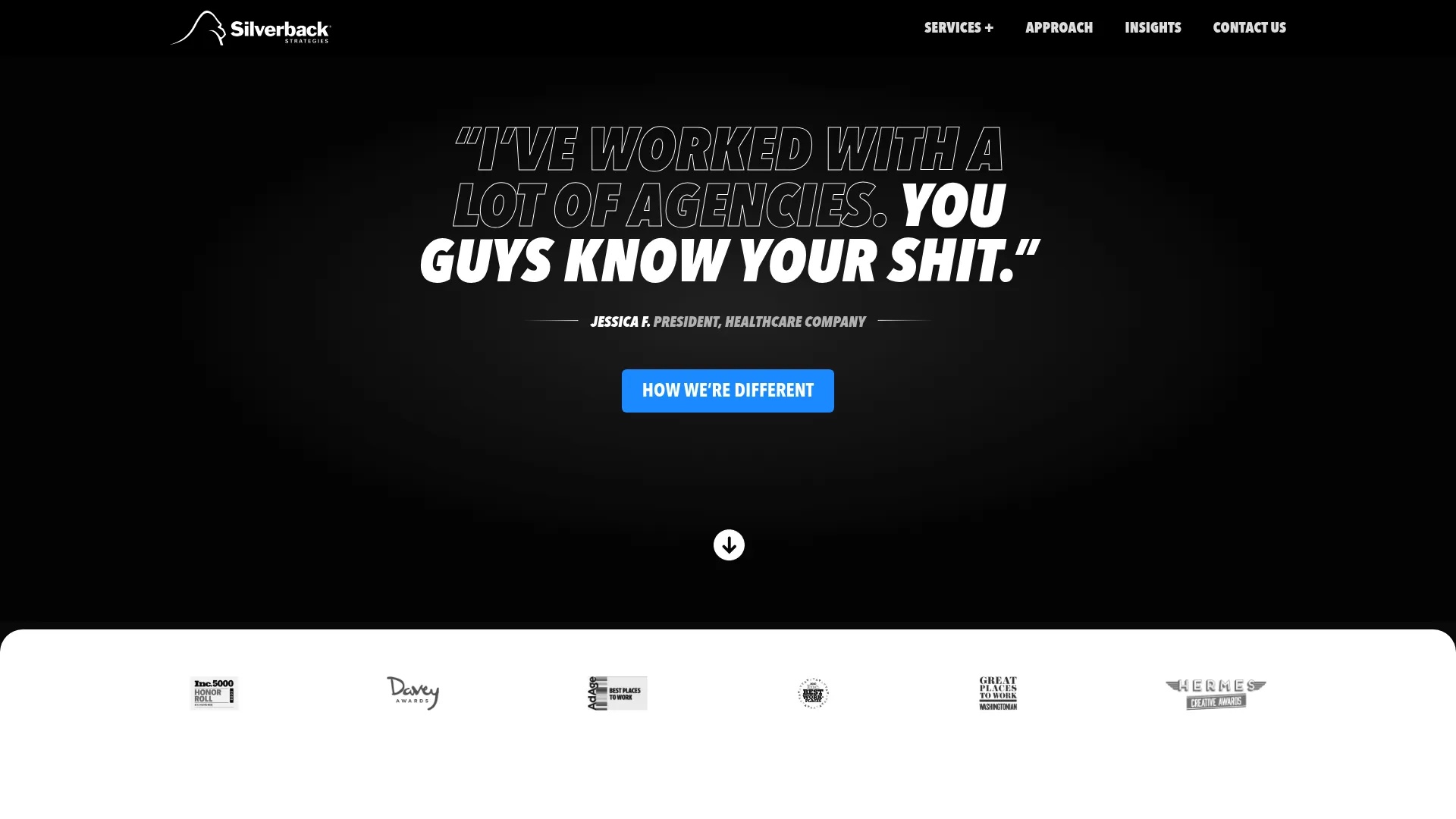 screenshot of silverbackstrategies.com