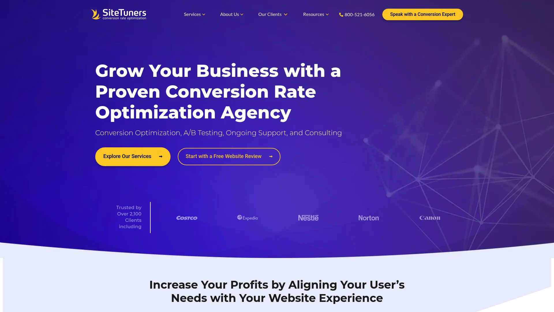 Screenshot of sitetuners.com