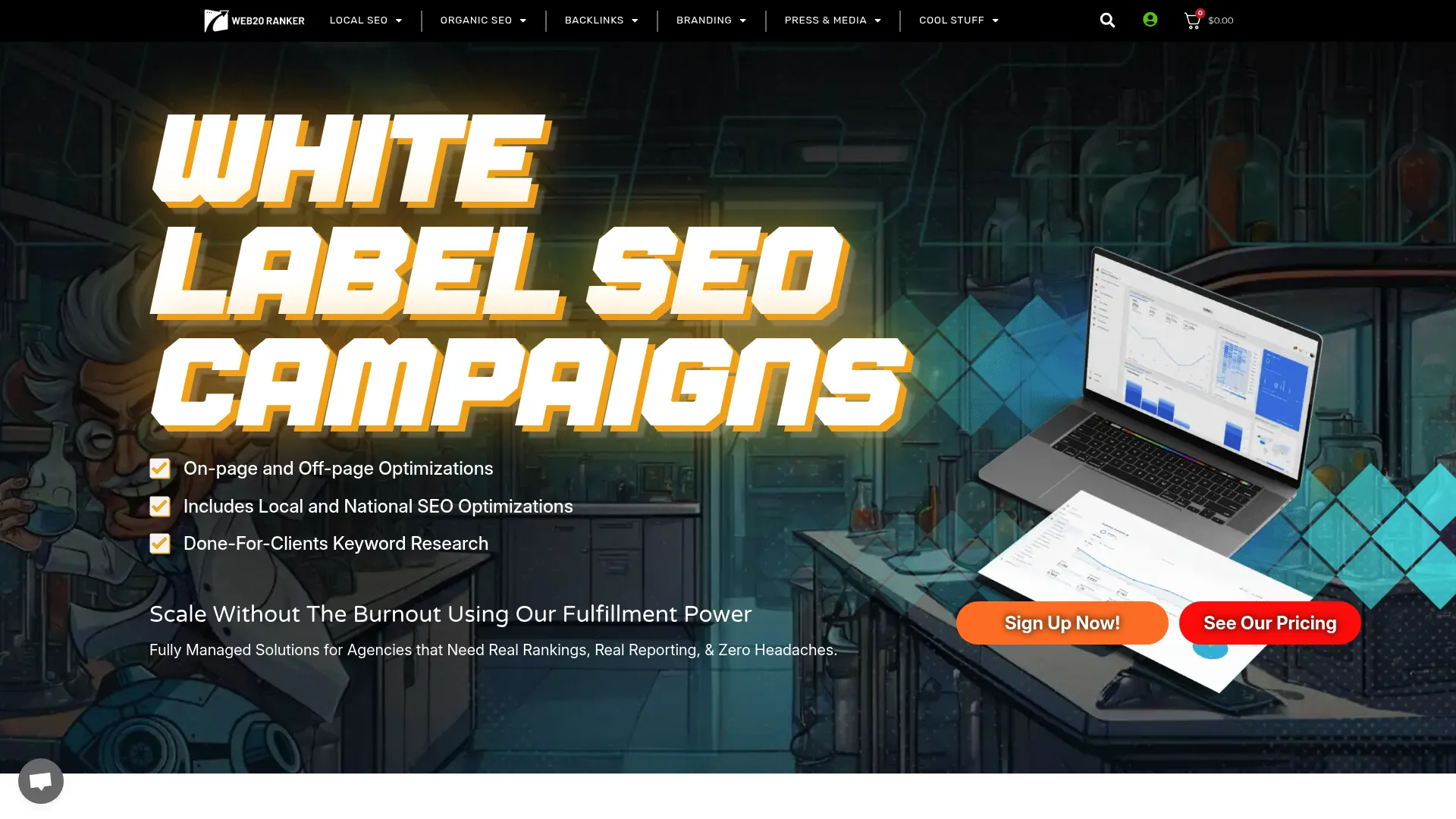 Web20Ranker Campaign Options Screenshot