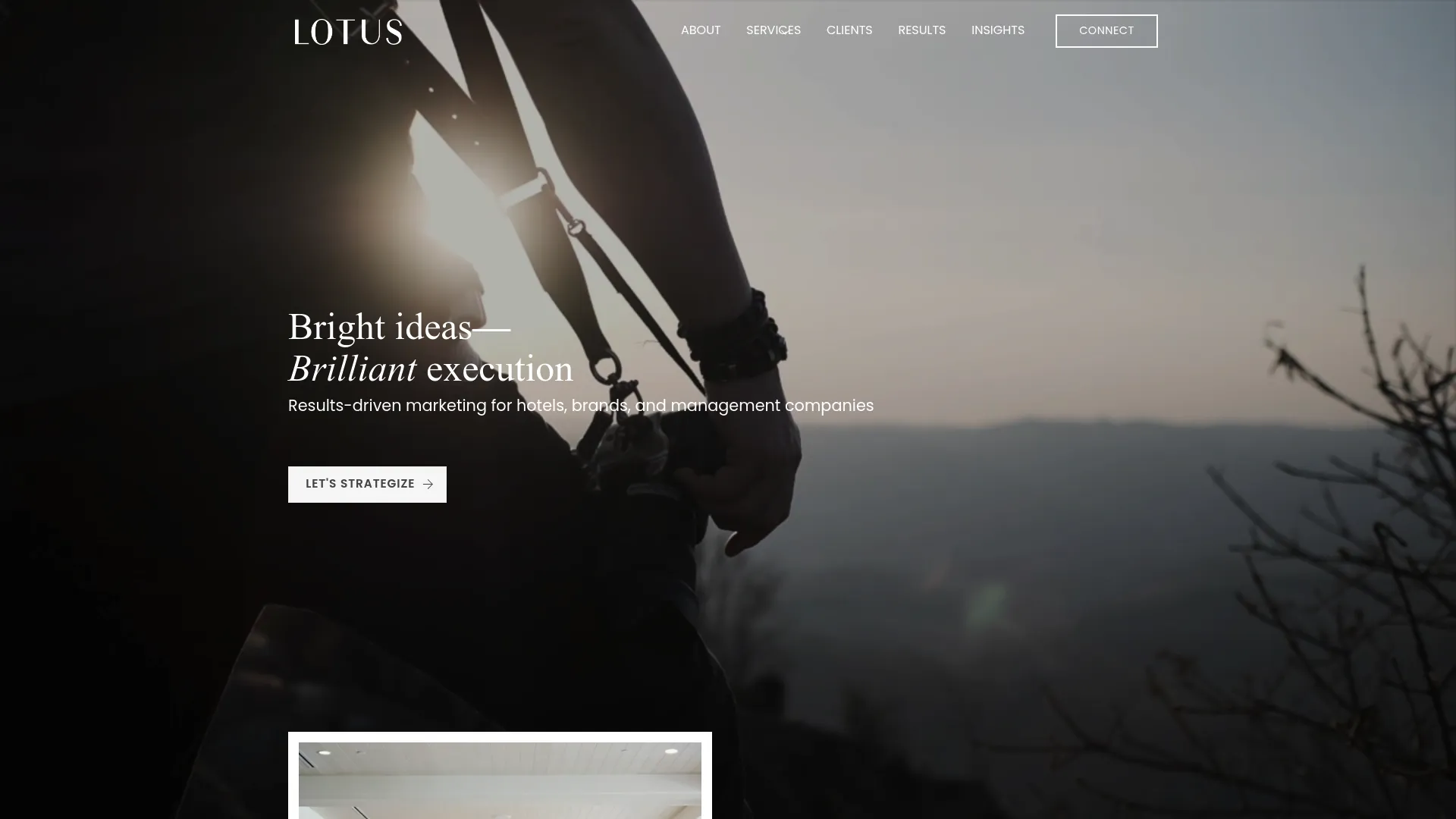 screenshot of lotusmarketinginc.com