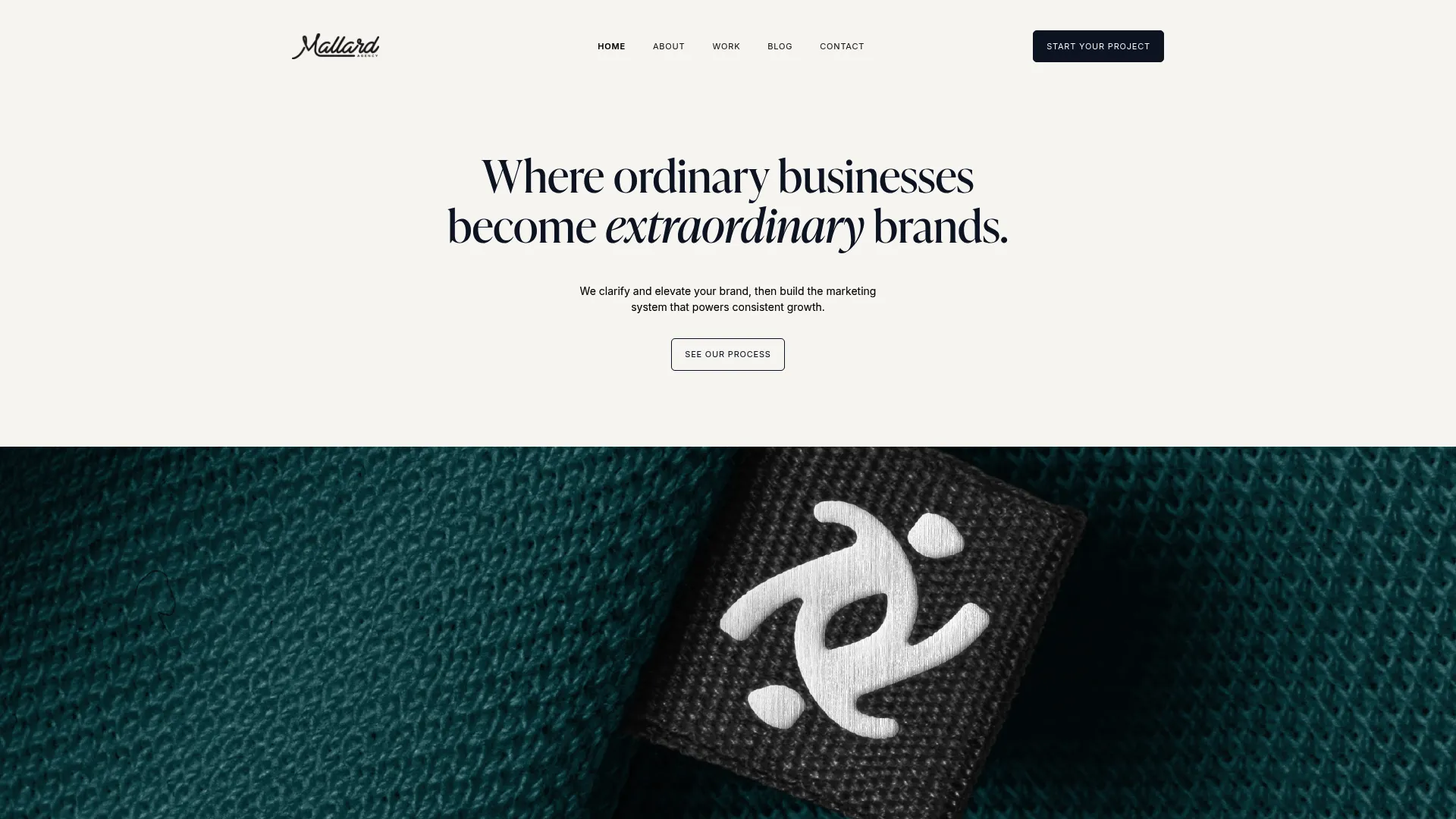 Screenshot of mallardagency.com