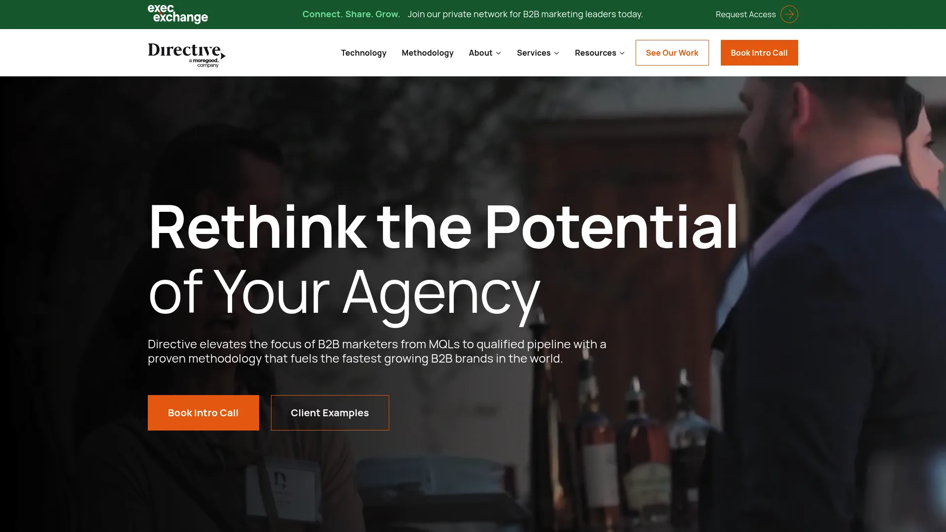 Screenshot of Directive Consulting