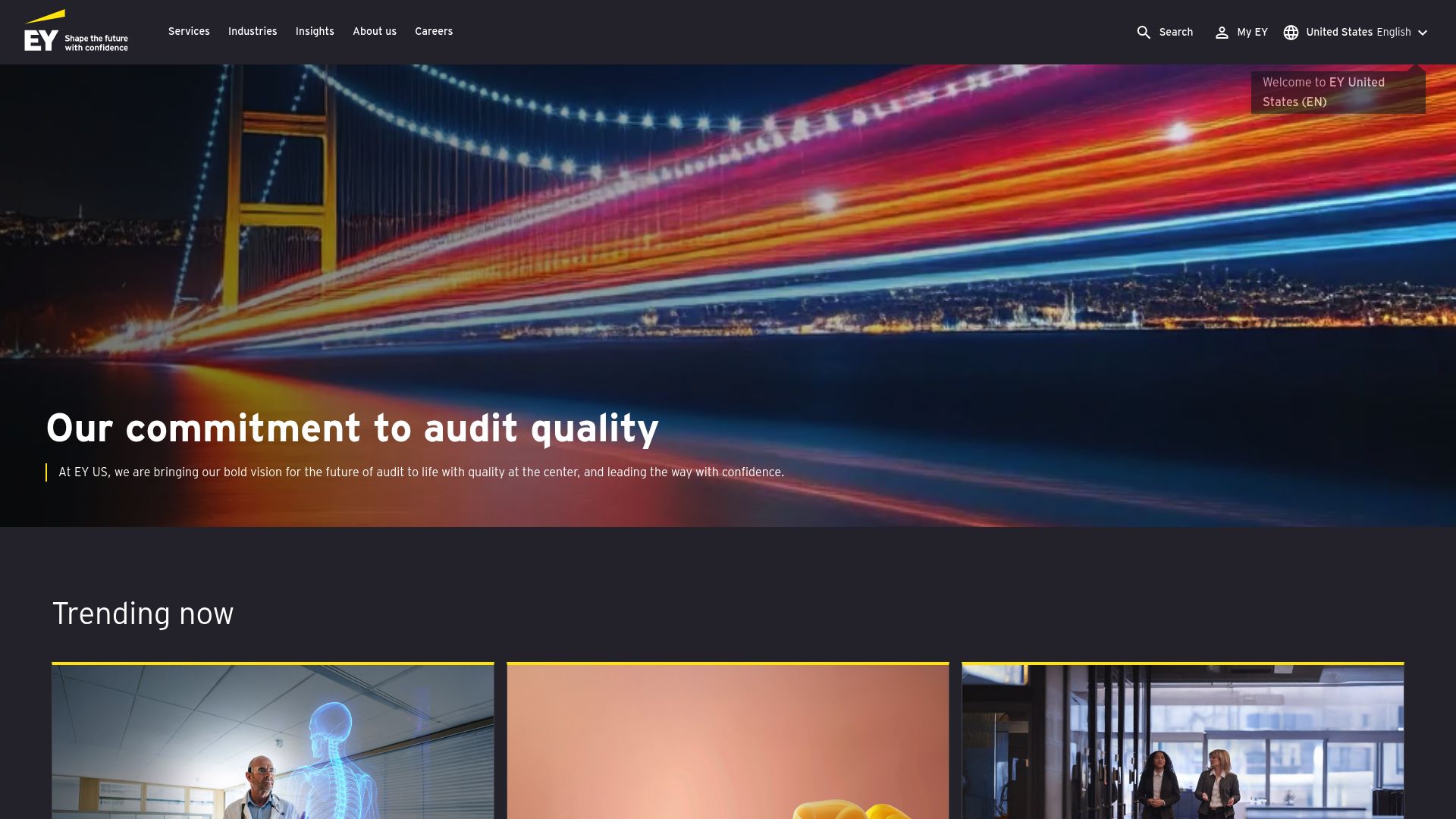 EY sustainable business transformation