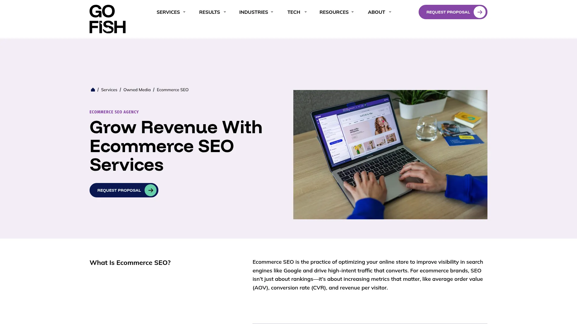 Go Fish Digital Homepage Screenshot