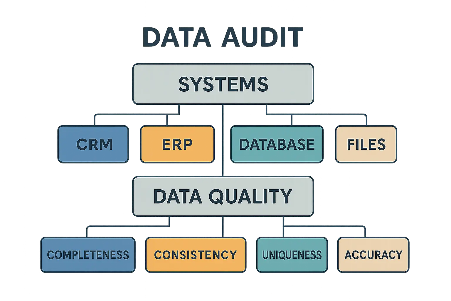 Data Audit and Preparation Process