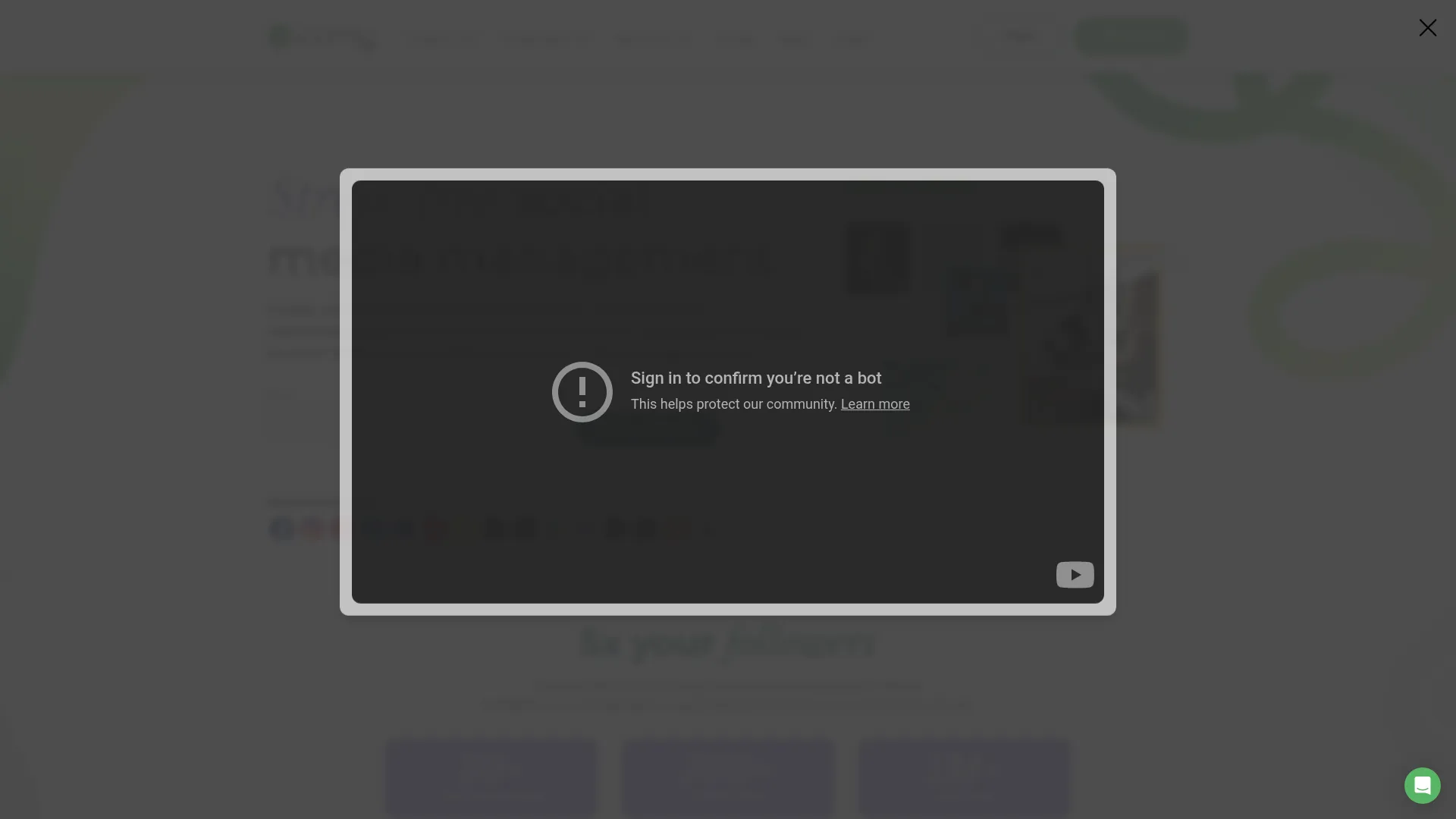 Loomly optimization interface