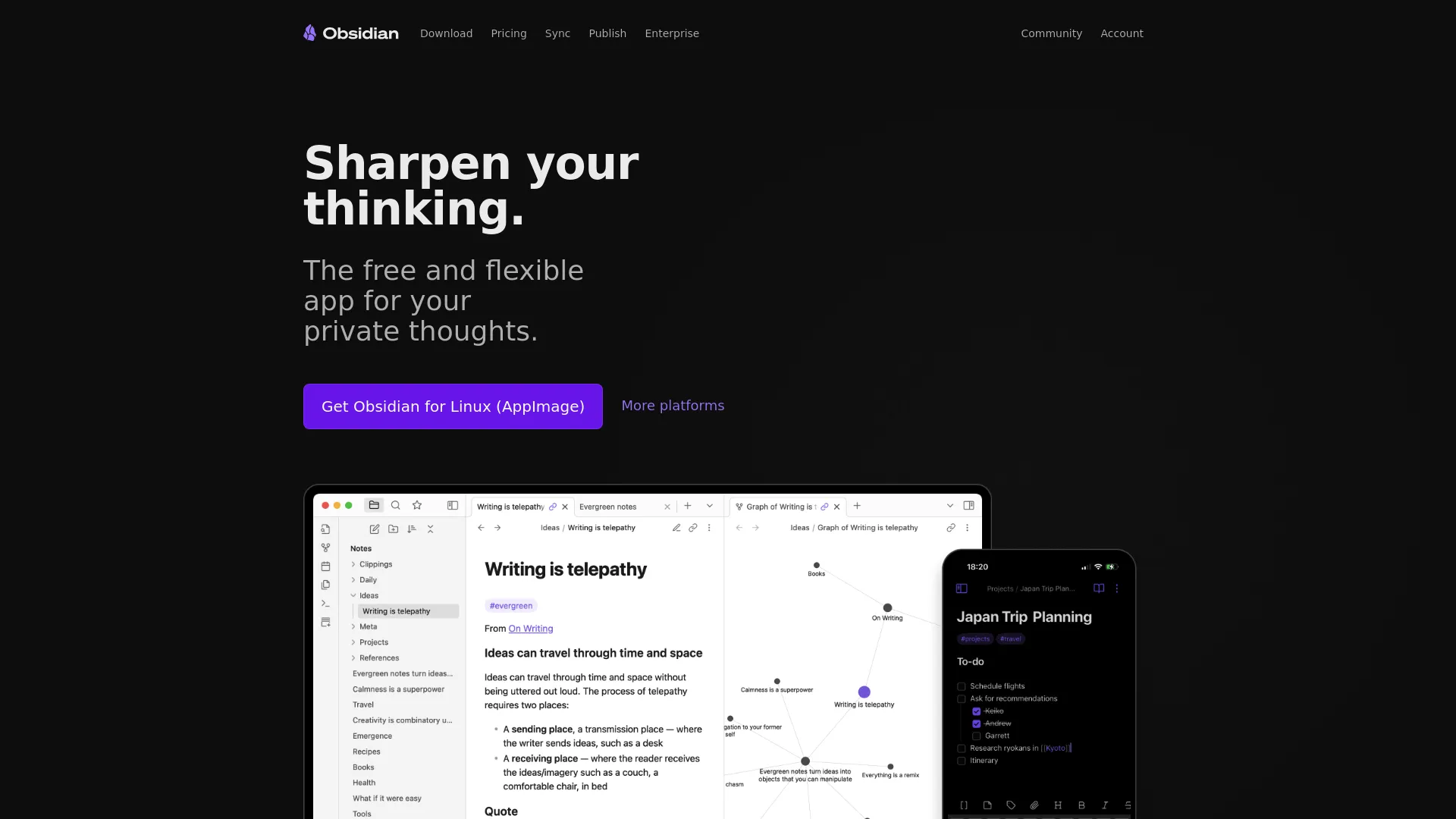 Obsidian graph view interface