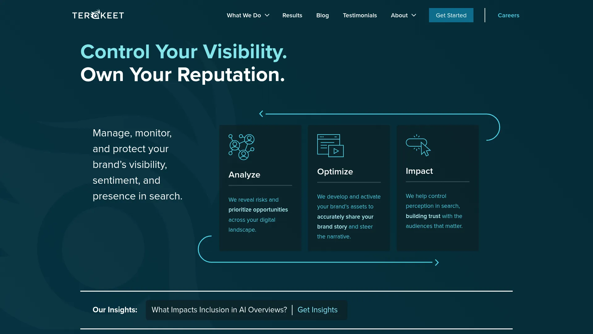 Screenshot of Terakeet homepage
