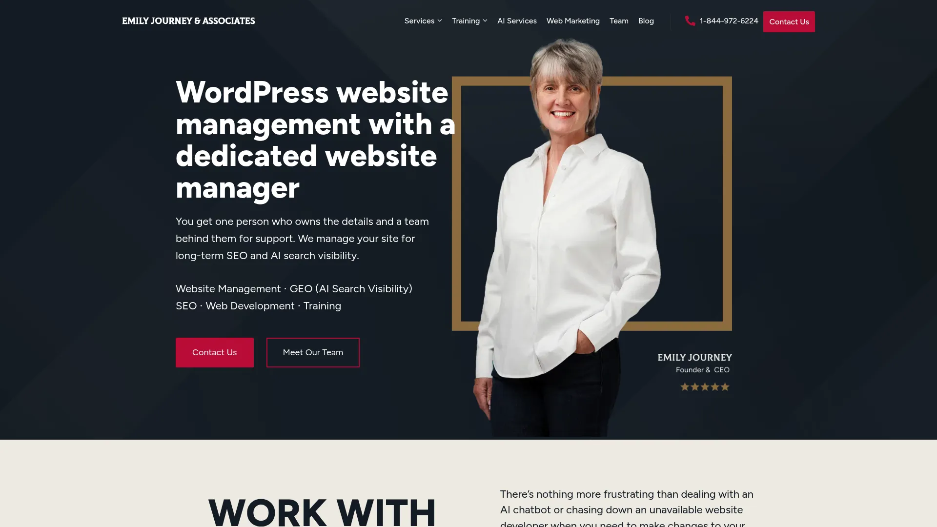 Emily Journey & Associates website maintenance platform
