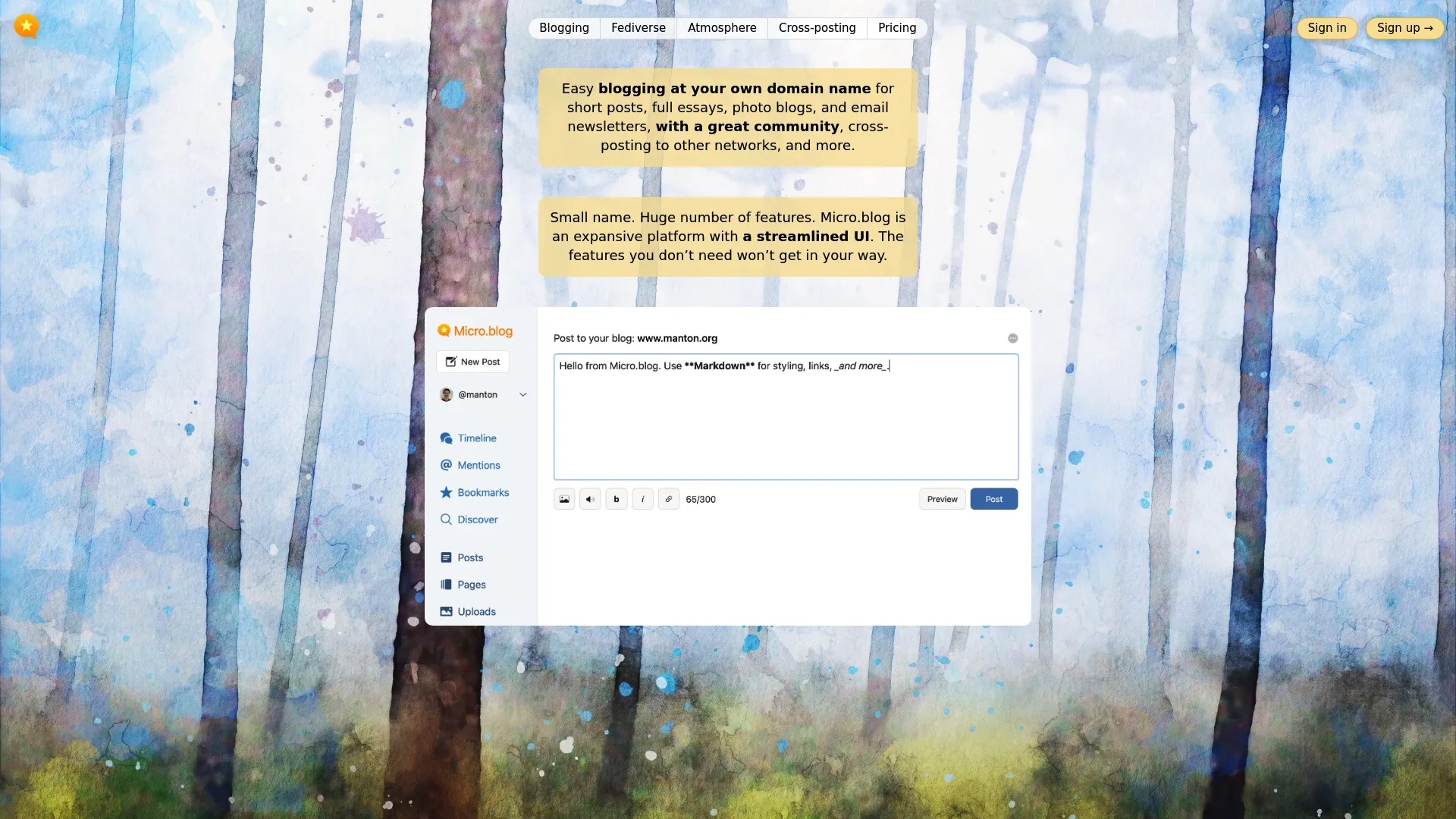 Micro.blog dashboard