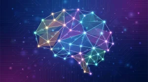 neural network architectures