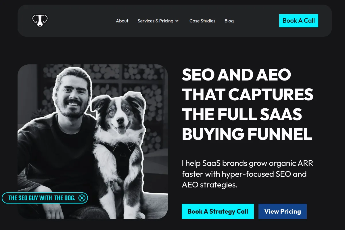 Website screenshot of taylorscherseo.com