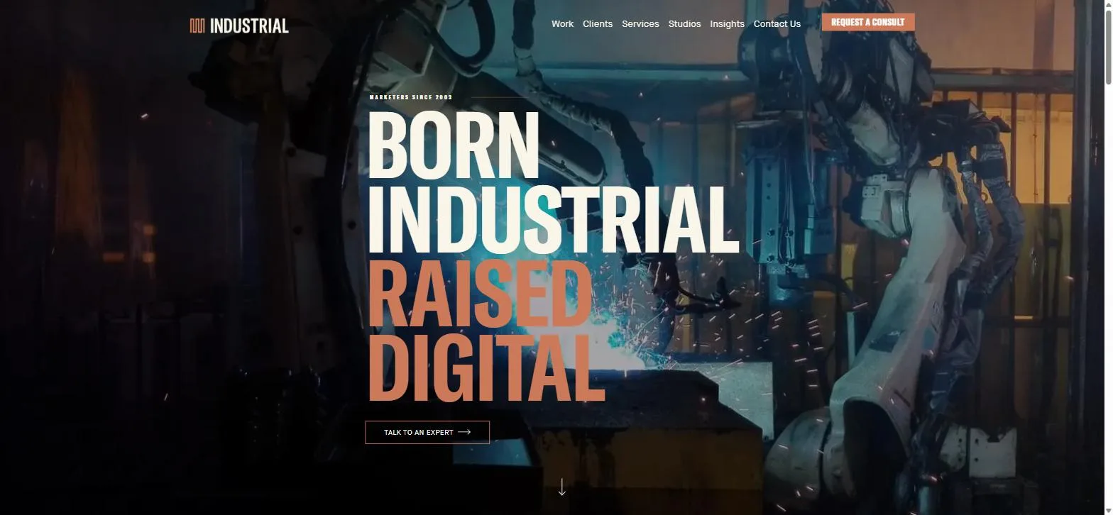 INDUSTRIAL (Industrial Strength Marketing) homepage with Born Industrial Raised Digital tagline